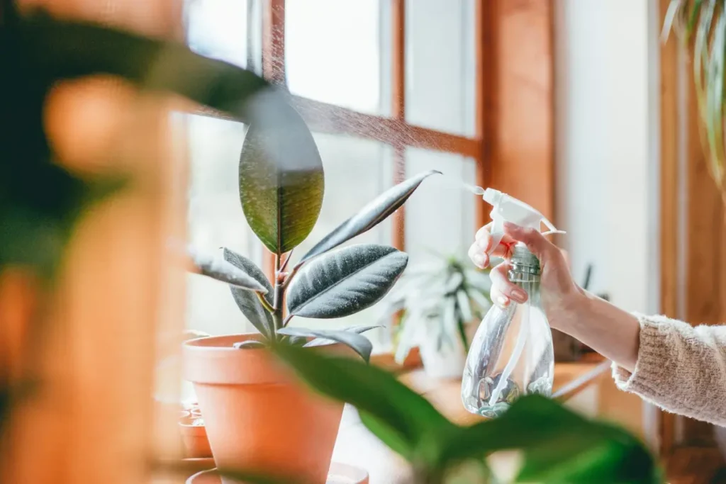 Watering Tropical Plants