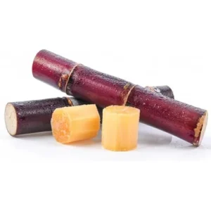 2 Red Sugar Cane Plants 8-10 Inch Striped Unroots Sugarcane