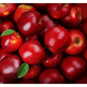 Red Apple Tree Sweet Apples Plant - 2 to 3 Feet Tall Bare Roots