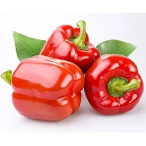 6 Live Red Sweet Bell Pepper Plants, Big Fruit Peppers, Ready to Grow