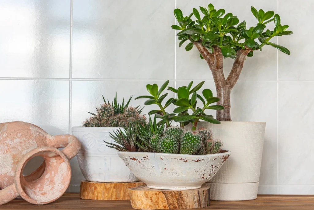 Plants That Symbolize Strength