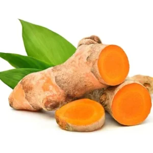 Fresh Turmeric Roots - 4 Lbs Wild Yellow Turmeric Tubers - Ready to Plant