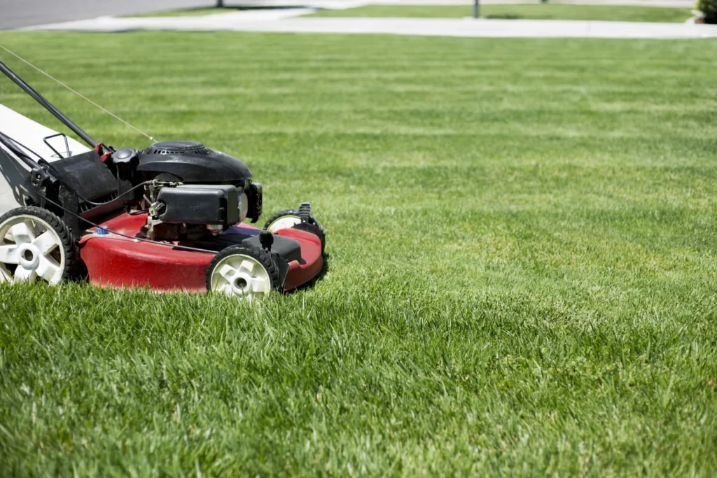 Mowing Your Zeon Zoysia Lawn