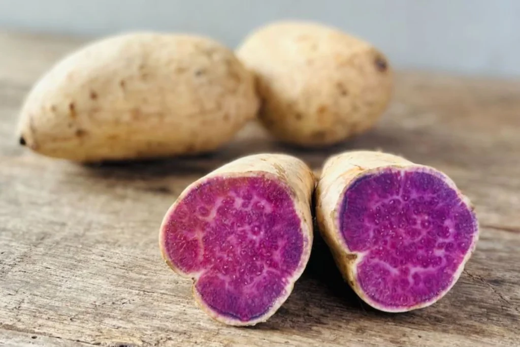 Okinawa Sweet Potatoes with their creamy, beige skin and stunning purple-magenta flesh