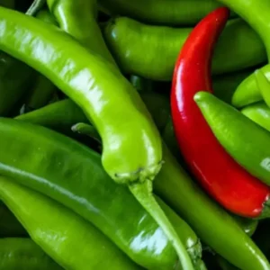 Serrano Chili Pepper Plants: 3 Super Hot Live Plants - 75 Days Old - Red Chili