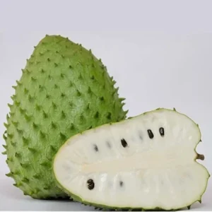 10 Soursop Seeds - Guanabana Graviola Annona Muricata - Tropical Fruit Seeds