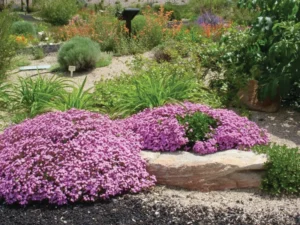 fire resistant trees landscape