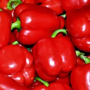 2 Pepper Live Plants - Large Red Bell Sweet Pepper Plants