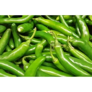 2 Pepper Live Plants - Serrano Hot Chili Pepper - Fresh & Healthy