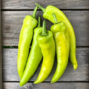 Hot Hungarian Wax Pepper Plants - Lot of 3 Super Hot LIVE Plants