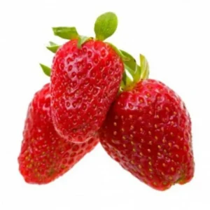 Alexandria Strawberry Plants - 8 Pack - Fragaria - Alpine Variety Strawberry Plants - Wild Strawberry Fruit Plants