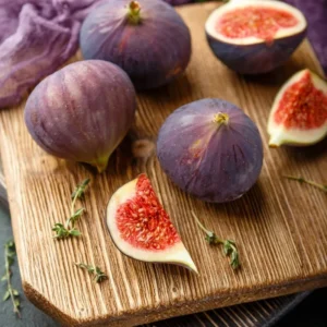 Fignomenal Fig Tree Plant - Ficus carica - 3-6 inch Edible Fruit Plug