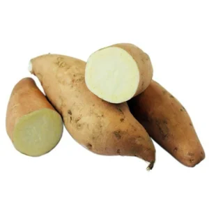 Sweet Potato Slips - White Yam (Vining) - 10 Non GMO Plants