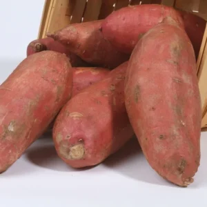 Bayou Belle Sweet Potato - 2 lbs Fresh Certified Whole Yams