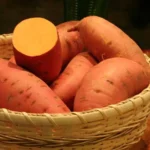 Covington Sweet Potato Slips - 10 Non-GMO Plants for Your Garden