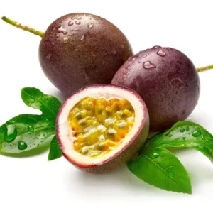 Purple Passion Fruit Vine Plant - Edible Passion Fruit Tree - Garden Ready
