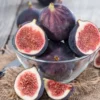 Fignomenal Fig Tree Plant - Ficus carica - 3-6 inch Edible Fruit Plug