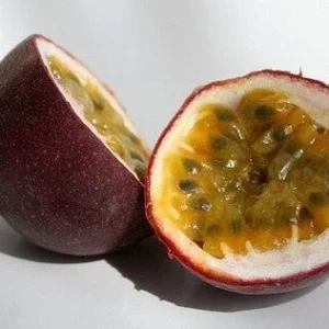 Frederick Passion Fruit Plant - 3-6 in Edible Fruit Vine