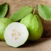 Guava Tree Live Plant - White Guava, 4-8 Inch Tall - For Gardening