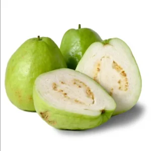 Guava Tree Live Plant - White Guava, 4-8 Inch Tall - For Gardening