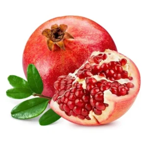 Wonderful Pomegranate Plant Plug - Edible Fruit Tree 3-6 in