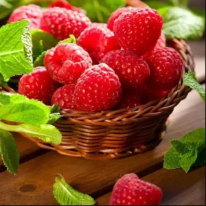 Caroline Red Raspberry Plants Set - Live Fruit Seedlings - Red Raspberry Bush - Indoor Outdoor