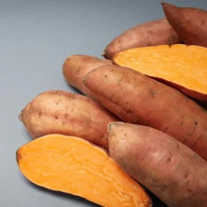 Orange Sweet Potato Slips - 10 Sweet Potato Vine Cuttings for Planting