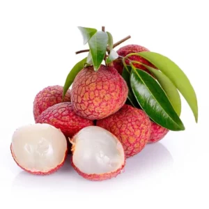 Lychee Tree Sweetheart Live Plant 5-9 Inch Tall Fruit Tree in Pot