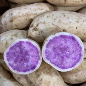 Okinawa Sweet Potato Plants - 5 Live Starter Plants - Purple Sweet Potato Vine