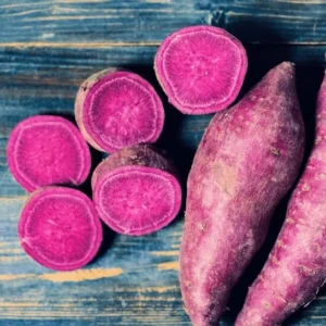 Okinawa Sweet Potato Plants - 5 Live Starter Plants - Purple Sweet Potato Vine