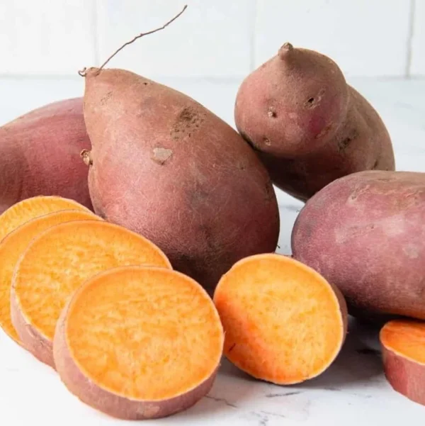 Orange Sweet Potato Slips - 10 Sweet Potato Vine Cuttings for Planting