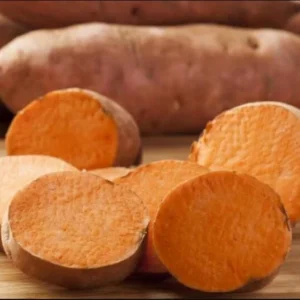 Orange Sweet Potato Slips - 10 Sweet Potato Vine Cuttings for Planting