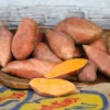 Orleans Sweet Potato - 2 lbs Fresh Sweet Potatoes Yams