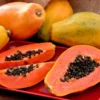 Papaya Tree Live Plant - 10-15 Inch Tall - Ready for Outdoor Planting