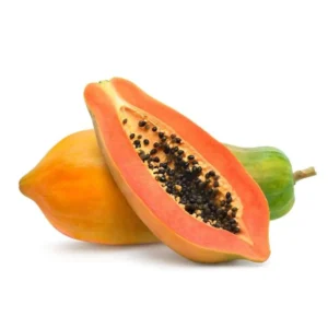 Papaya Tree Live Plant - 10-15 Inch Tall - Ready for Outdoor Planting