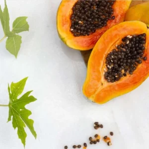 Papaya Tree Live Plant - 10-15 Inch Tall - Ready for Outdoor Planting