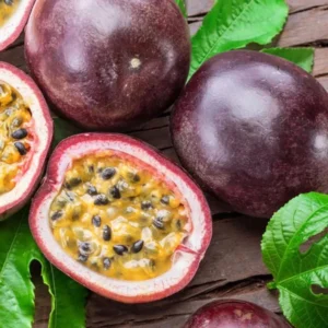 Purple Passion Fruit Vine Plant - Edible Passion Fruit Tree - Garden Ready