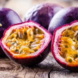 Purple Possum Passion Fruit Plant - 2-4 inch Plug - Edible Vine