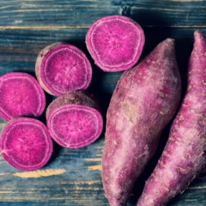 Purple Sweet Potato Slips - 20 Well Rooted Sweet Potato Vine Live Plant Cutting