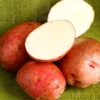 Red Pontiac Seed Potatoes - 2 lbs Certified Whole Potatoes for Spring