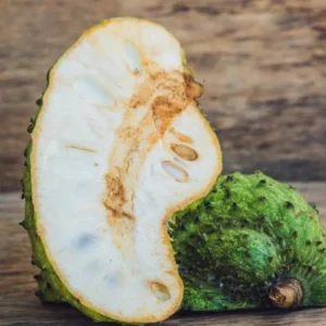 Soursop Plant Live for Planting 5-8 Inch Sweet Soursop Tree Seedling