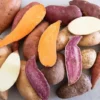 Sweet Potato Slips Lover's Mix - 10 Non-GMO Sweet Potato Plants - Mixed Variety