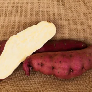 Sweet Potato Slips for Planting - 10 Japanese Red Live Cuttings