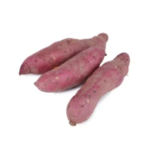 Sweet Potato Slips for Planting - 10 Japanese Red Live Cuttings