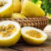 Sweet Sunrise Passion Fruit Plant (P. edulis) - 3-6 in Plug - Edible Variety
