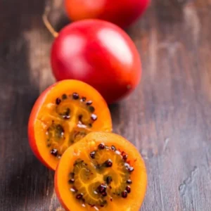 Tamarillo Tree Tomato Live Plant, High Germination, 4-8 Inch Tall