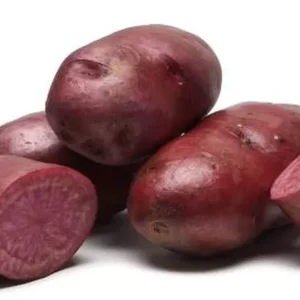 Terrarosa Seed Potatoes 2 lbs - Certified Spring Planting Gold Potato