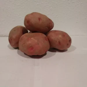 Viking Seed Potatoes 2 lbs - Certified Whole Seed Potatoes for Spring