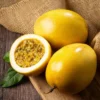 Yellow Passion Fruit Plant - 2 Live Plants for Planting - Tropical Vine