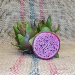 Edgar's Baby Dragon Fruit Hylocereus Plant Plug Tree 4-8 Inches Edible Fruit